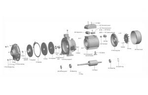 double impeller centrifugal pumps